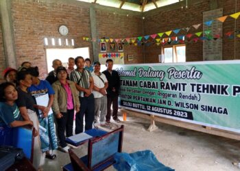 Jan D Wilson Sinaga Temukan Inovasi Bertanam Cabai Rawit dengan Biaya Rendah