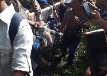 Polsek Dolok Panribuan Bantu Evakuasi Harimau Sumatera yang Terjerat Jebakan Babi Hutan