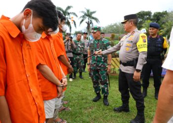 Poldasu Temukan 150 ha Ladang Ganja di Madina