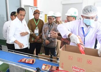 Presiden Jokowi Resmikan Pabrik Percontohan Minyak Makan Merah Pertama di Indonesia