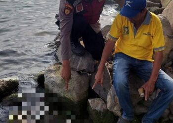 Potongan Tubuh Manusia Ditemukan di Pinggiran Danau Toba