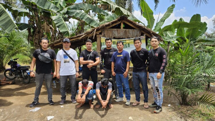 Gubuk Perladangan Dijadikan Tempat Transaksi Sabu, Dua Pengedar Ditangkap