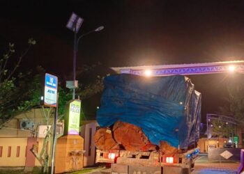 HIMAPSI Bersama Masyarakat Hentikan Truck Bermuatan Kayu Bulat di Saribu Dolok, Kapolres Simalungun ” Ada Diamankan di Mapolres”