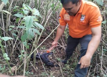 Buang Bayi Hasil Hubungan Gelap, Pasangan Kekasih di Simalungun Ditangkap