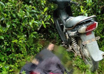 Pensiunan BUMN Ditemukan Meninggal di Perkebunan Teh Sidamanik