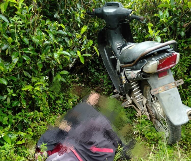 Pensiunan BUMN Ditemukan Meninggal di Perkebunan Teh Sidamanik