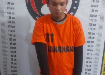 Polsek Saribu Dolok Polres Simalungun Tangkap Pelaku Pengedar Narkoba di Wilayah Perladangan