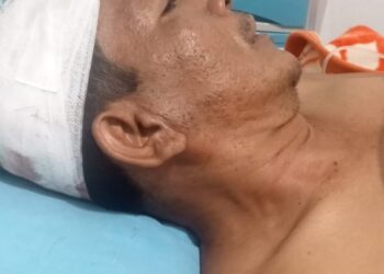 Pangulu Pokan Baru Sebut Penganiayaan Maujana Dengan Masyarakat Murni Perkelahian