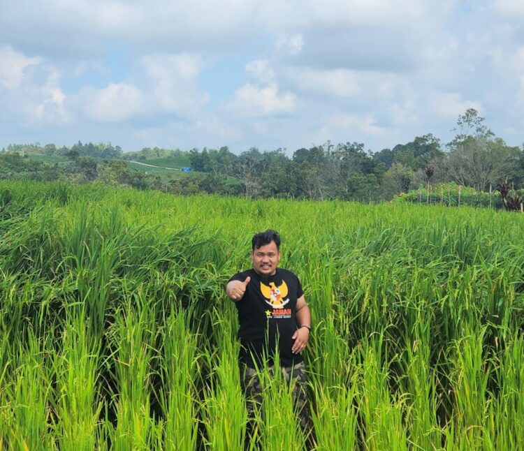 JAMAN SUMUT Mendukung Program Ketahanan Pangan Presiden RI Prabowo Subianto