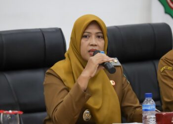 Wakil Wali Kota Pematangsiantar, Herlina