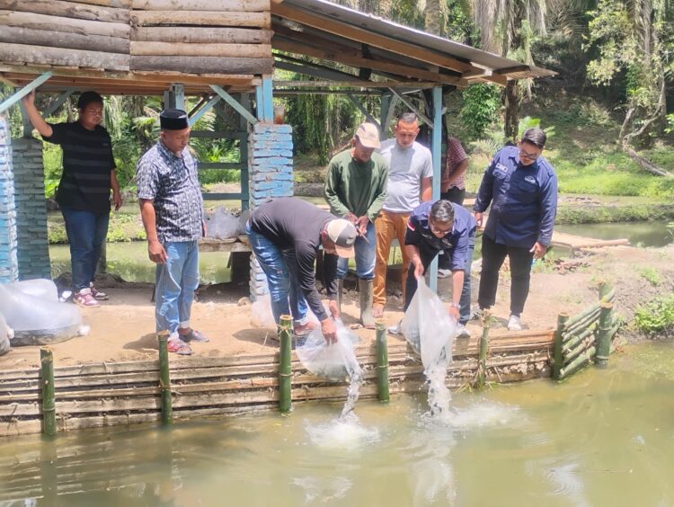 Pemerintahan Nagori Silou Dunia Bekerjasama Dengan Yayasan Rumah Yatim Tabur Ribuan Bibit Ikan