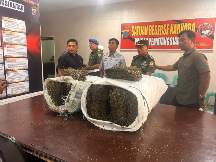 Intel Kodim 0207/Simalungun Temukan 47,20 Kg Ganja Kering di Komplek USI Pematangsiantar