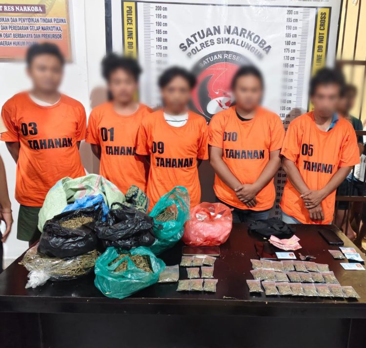 2,5 Kg Daun Ganja Diamankan Sat Narkoba Polres Simalungun, 5 Pemuda Dijadikan Tersangka
