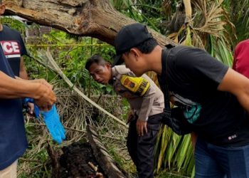 Sumber photo srenshoot Kompas.com