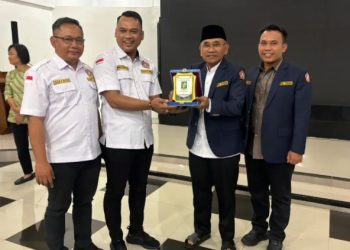 Terima Audiensi, Bupati Simalungun Minta Karang Taruna Perkuat Peran di Nagori