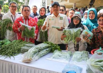Harga Cabai Merah ‘Mendidih’, Pematangsiantar Atasi Inflasi dengan Pasar Murah dan Tanam Mandiri