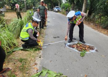 Guru PNS Meninggal Tergilas Truk di Simalungun: Polisi Ungkap Kelalaian Menyalip, Sopir Sempat Kabur