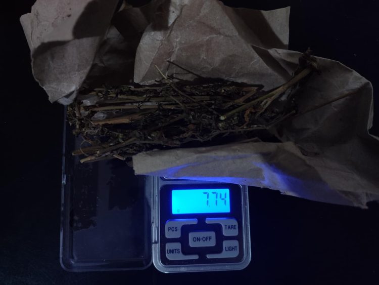 Di Balik Jok Motor Balap Liar, Pelajar 15 Tahun Ditangkap Bawa Ganja