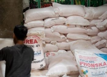 Kabar Gembira Petani! HET Pupuk Subsidi Resmi Turun, Kios Dijamin Dapat Kompensasi Selisih Harga