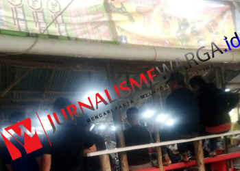 Gawat! Judi Sabung Ayam ‘Sangap S’ di Siantar Kebal Hukum, Kapolres Bungkam Saat Dikonfirmasi