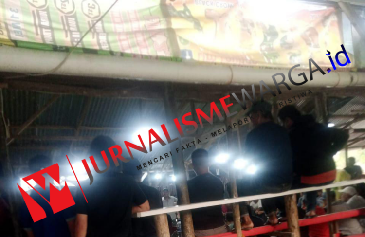 Gawat! Judi Sabung Ayam ‘Sangap S’ di Siantar Kebal Hukum, Kapolres Bungkam Saat Dikonfirmasi