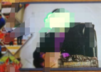 Terbukti! Unimed Tegaskan Kristi Wilson Sinurat Tidak Memiliki Ijazah Magister (M.Pd)