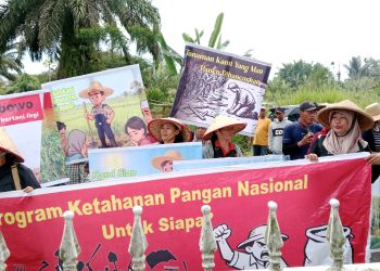 Mariaman Buka Suara Terkait Tuduhan Penguasaan 41 Hektare Lahan: “Saya Hanya Disuruh Orang Polres”