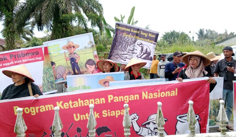 Mariaman Buka Suara Terkait Tuduhan Penguasaan 41 Hektare Lahan: “Saya Hanya Disuruh Orang Polres”