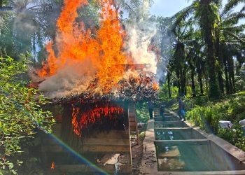 Kasnob Simalungun Mengamuk di Tanah Jawa, 5 Pelaku Diamankan dan Gubuk Sabu Dibakar Habis