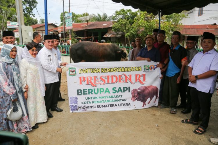 Sejarah Bagi Warga Gurilla, Wali Kota Wesly Silalahi Serahkan Sapi Kurban Limosin 906 Kg dari Presiden Prabowo