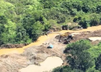 Dugaan Jaringan Asing Serap 90 Kg Emas Ilegal per Bulan dari Sumatera Utara, Aparat Diminta Bertindak Cepat