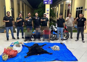 IPDA Gagas Pimpin Gagalkan Perdagangan 30 Kg Sisik Trenggiling dan Kulit Beruang di Simalungun