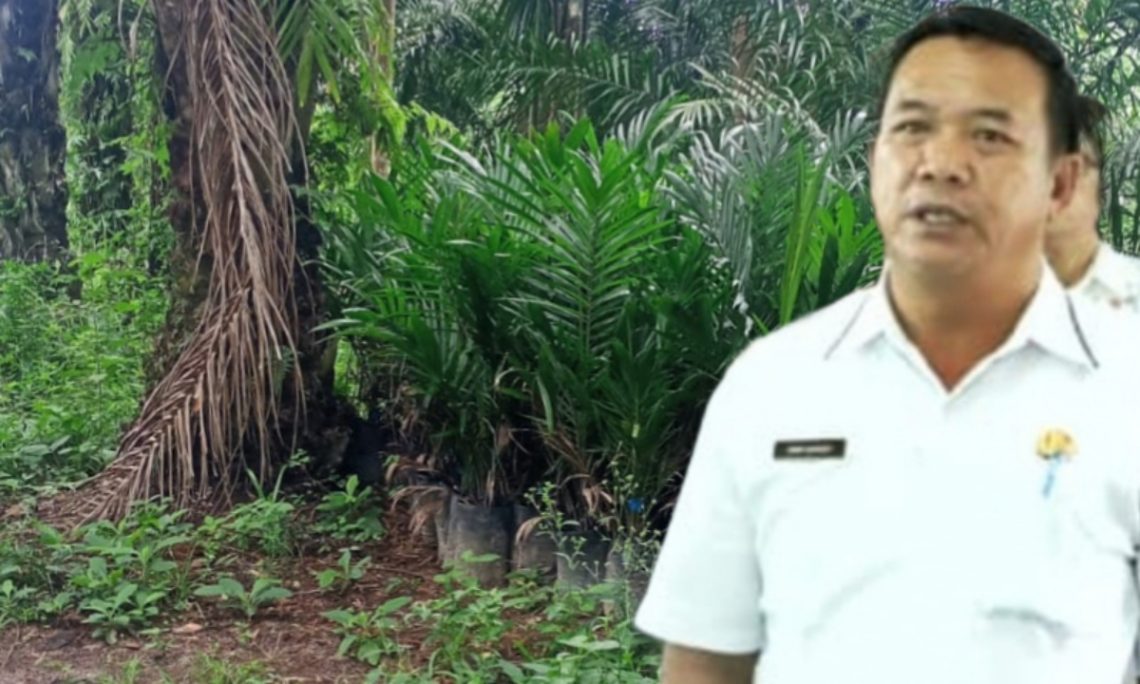 Lahan PSR Damakitang Terbengkalai, Kadis Pertanian Simalungun Janji Tinjau Lapangan