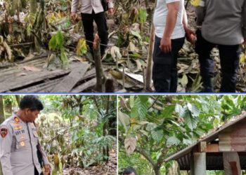 Viral di Facebook Soal Narkoba, Polsek Silou Kahean Periksa Gubuk Mencurigakan