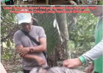 Warga Melapor, Kapolsek Silou Kahean Langsung Kepung Lokasi Transaksi Narkoba di Simanabun
