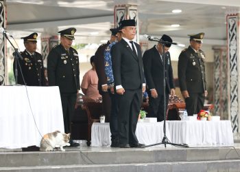 Hapsak di Pematangsiantar, Sekda Ajak Perkuat Persatuan dan Gotong Royong